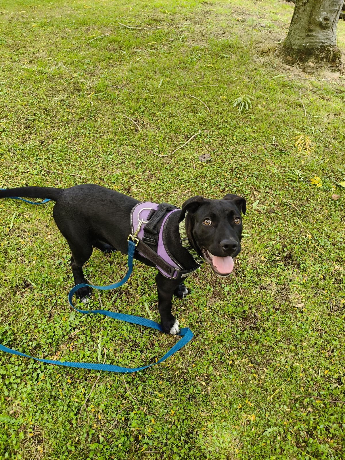 Gallery image: Aquarius