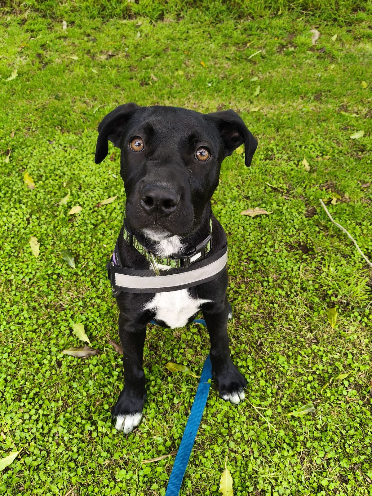 Gallery image: Aquarius