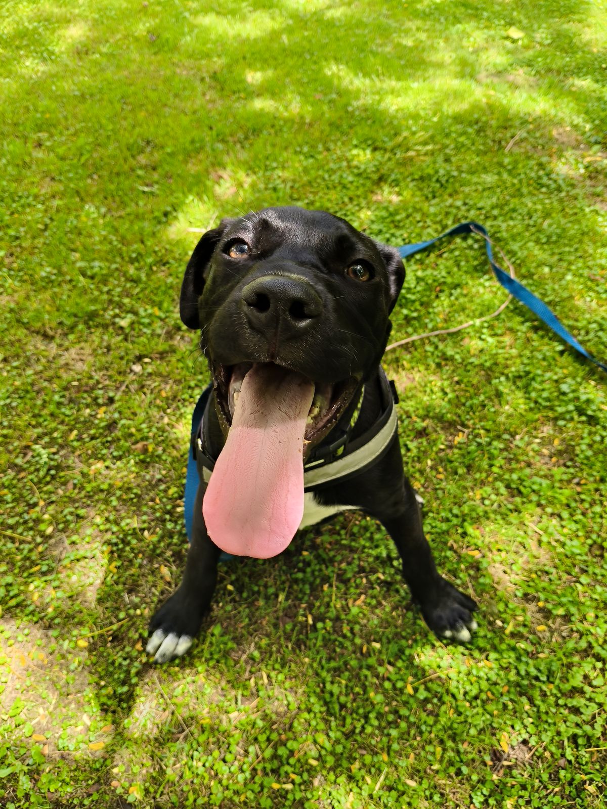 Gallery image: Aquarius