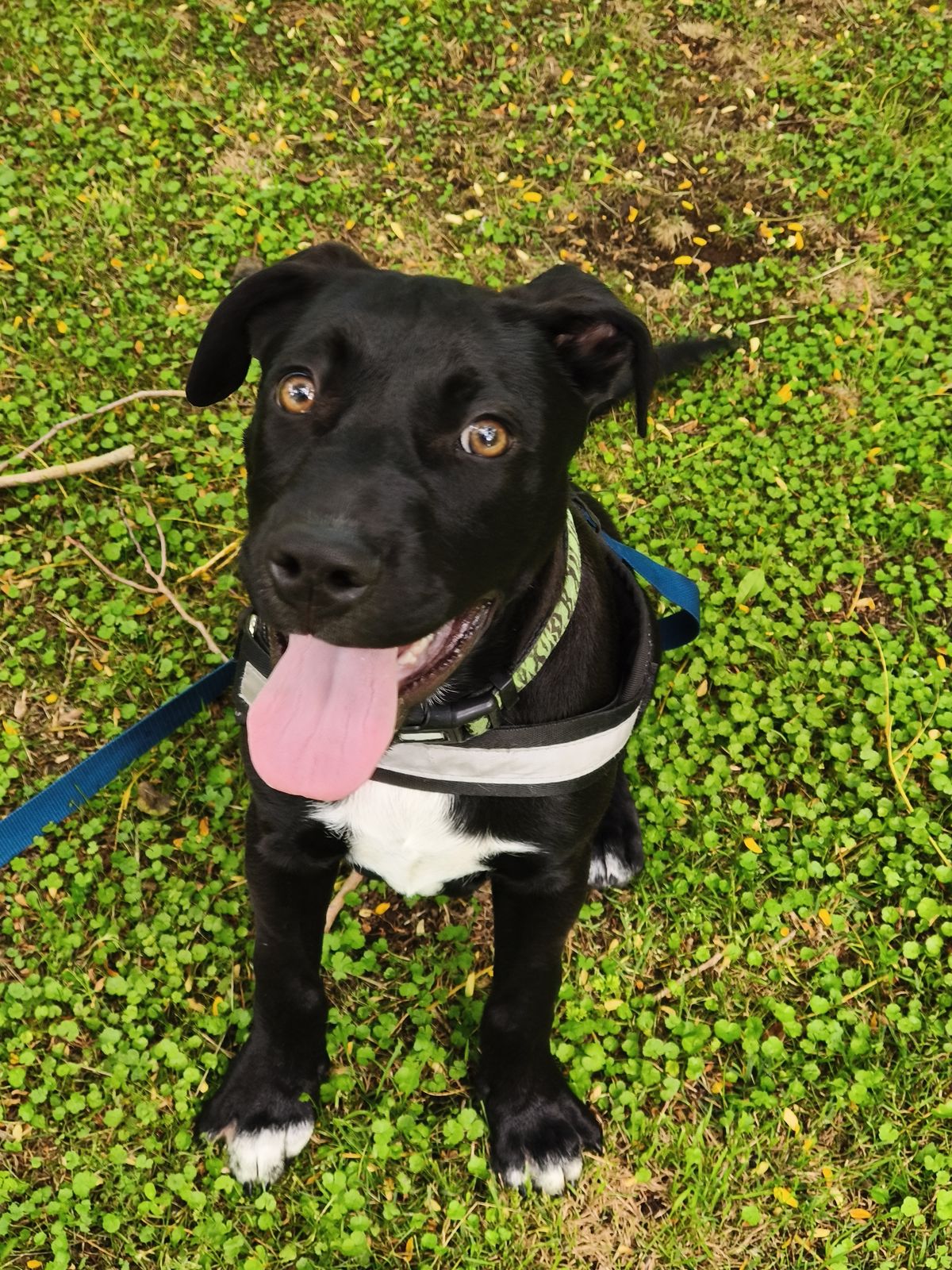 Gallery image: Aquarius