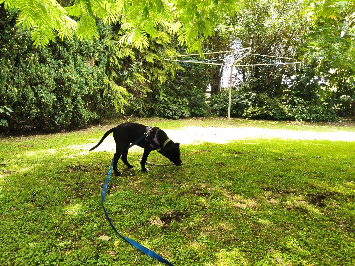 Gallery image: Aquarius