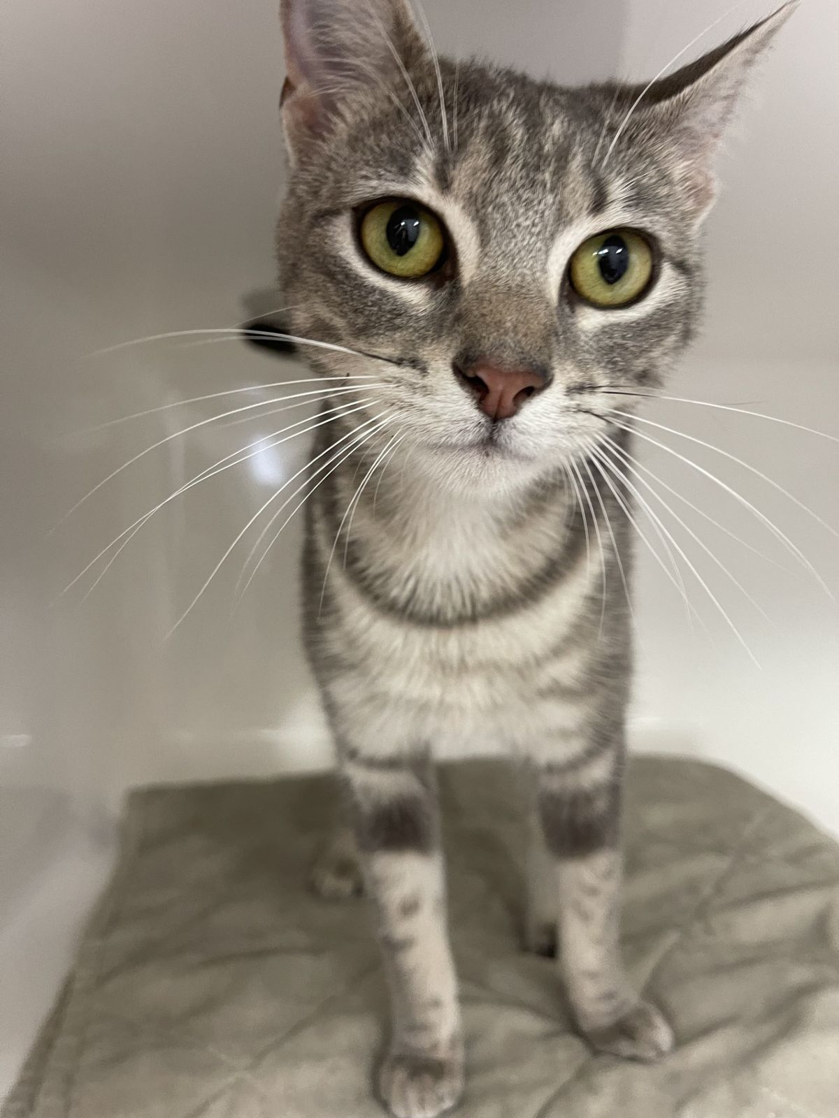 Gallery image: Jackie