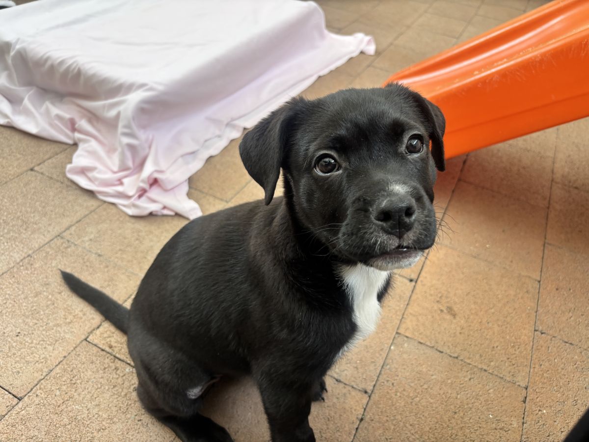 Gallery image: Charlotte