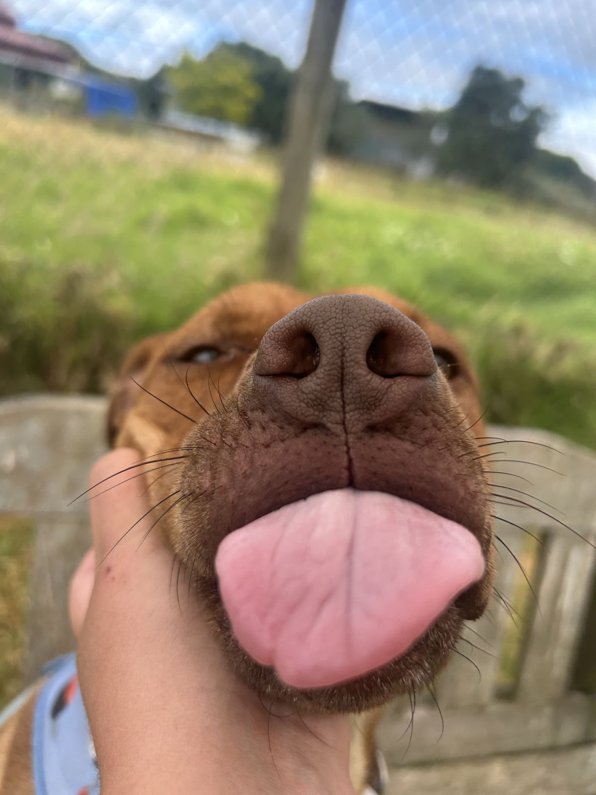 Gallery image: Bernie