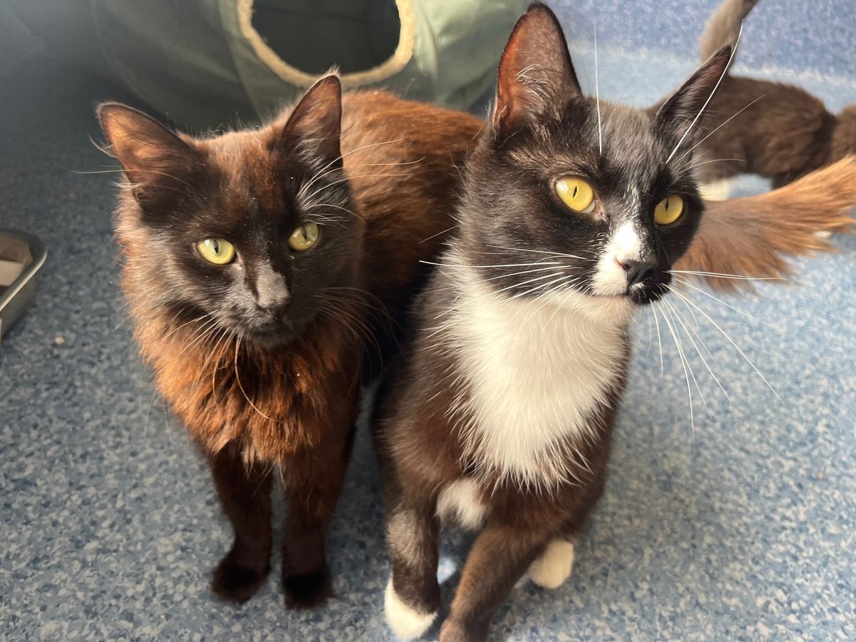 Gallery image: Lauryn