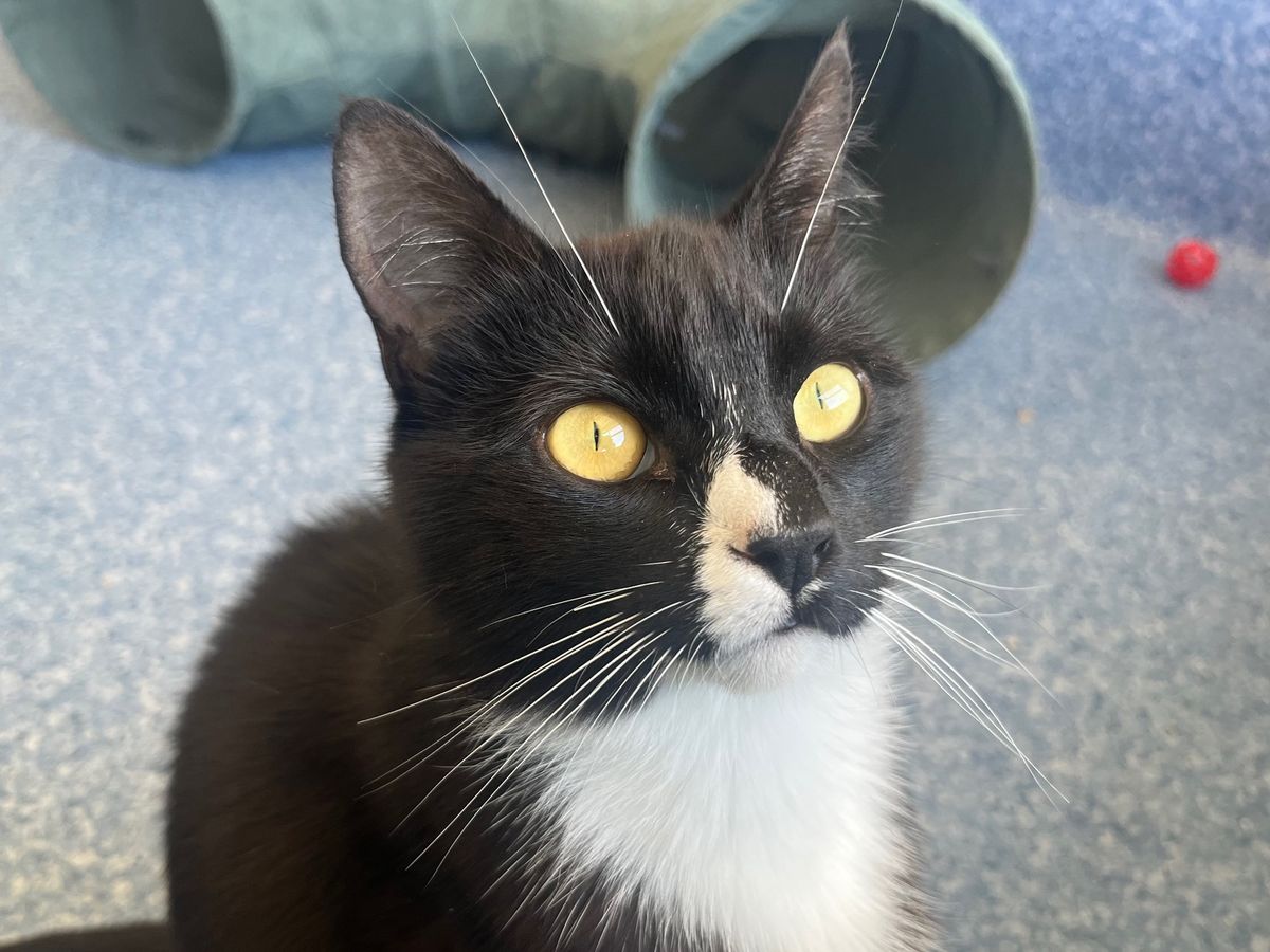 Gallery image: Lauryn