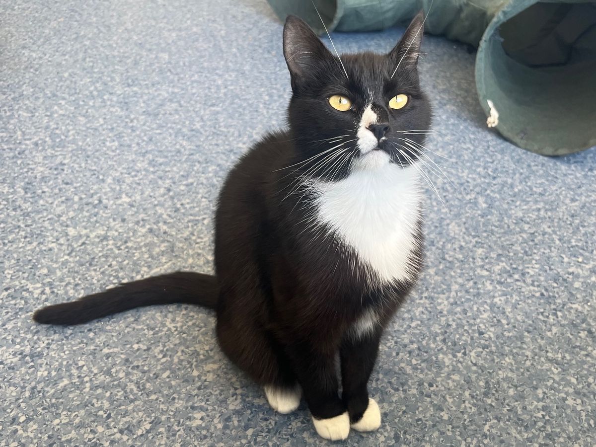 Gallery image: Lauryn