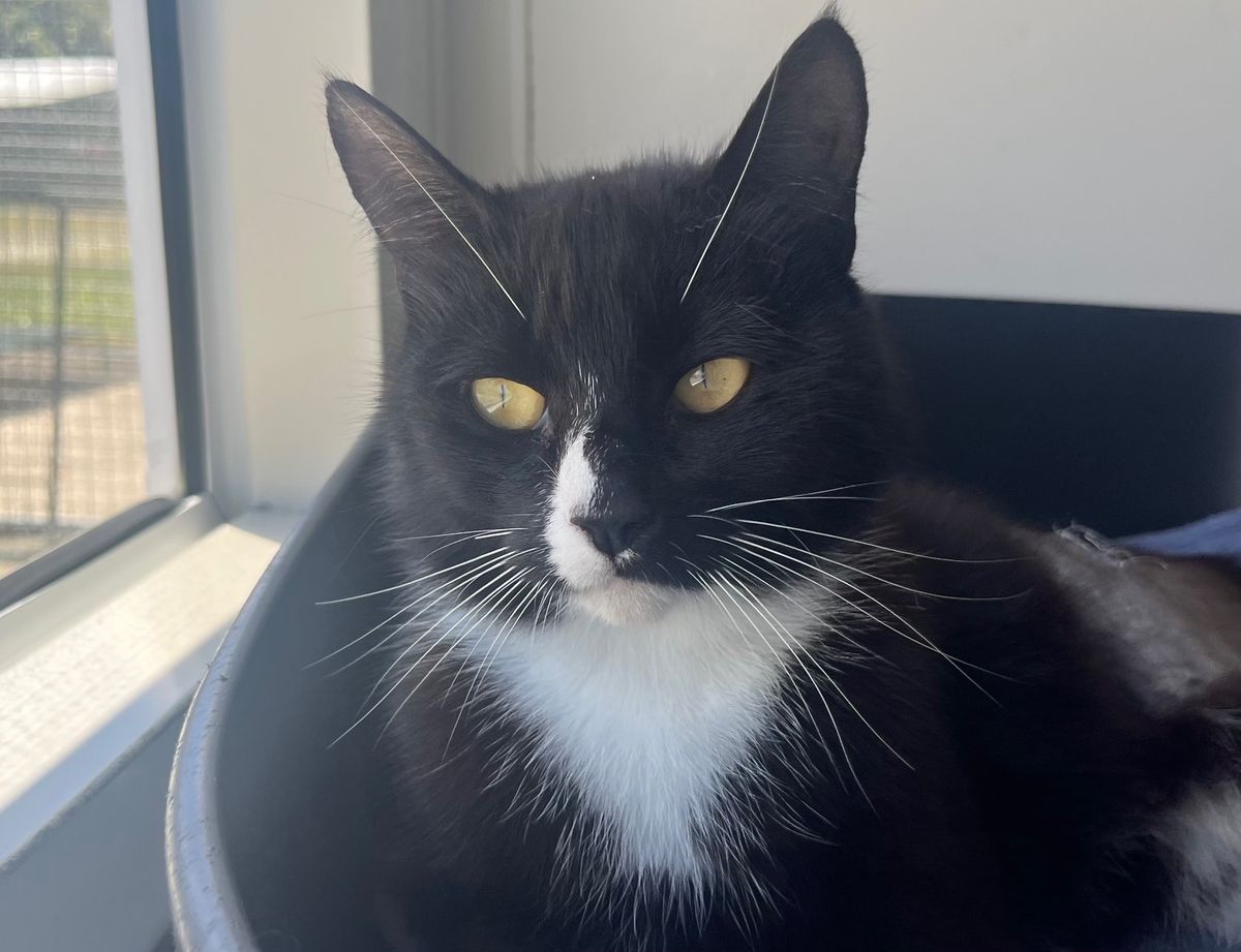 Gallery image: Lauryn