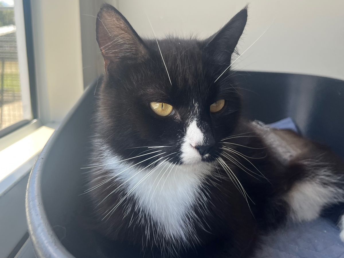 Gallery image: Lauryn