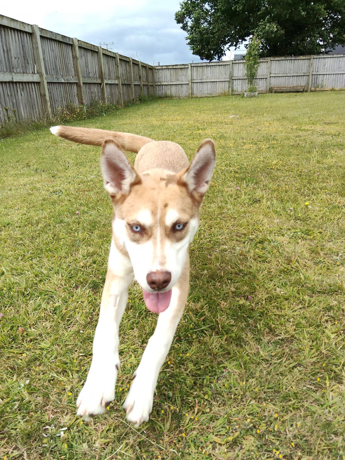 Gallery image: Rocky