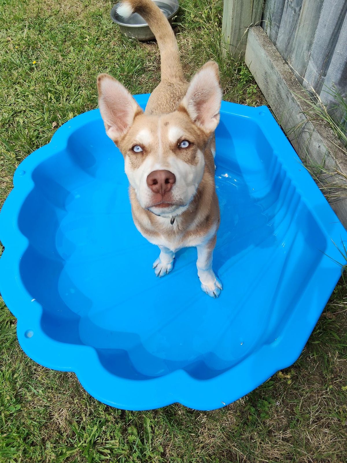 Gallery image: Rocky