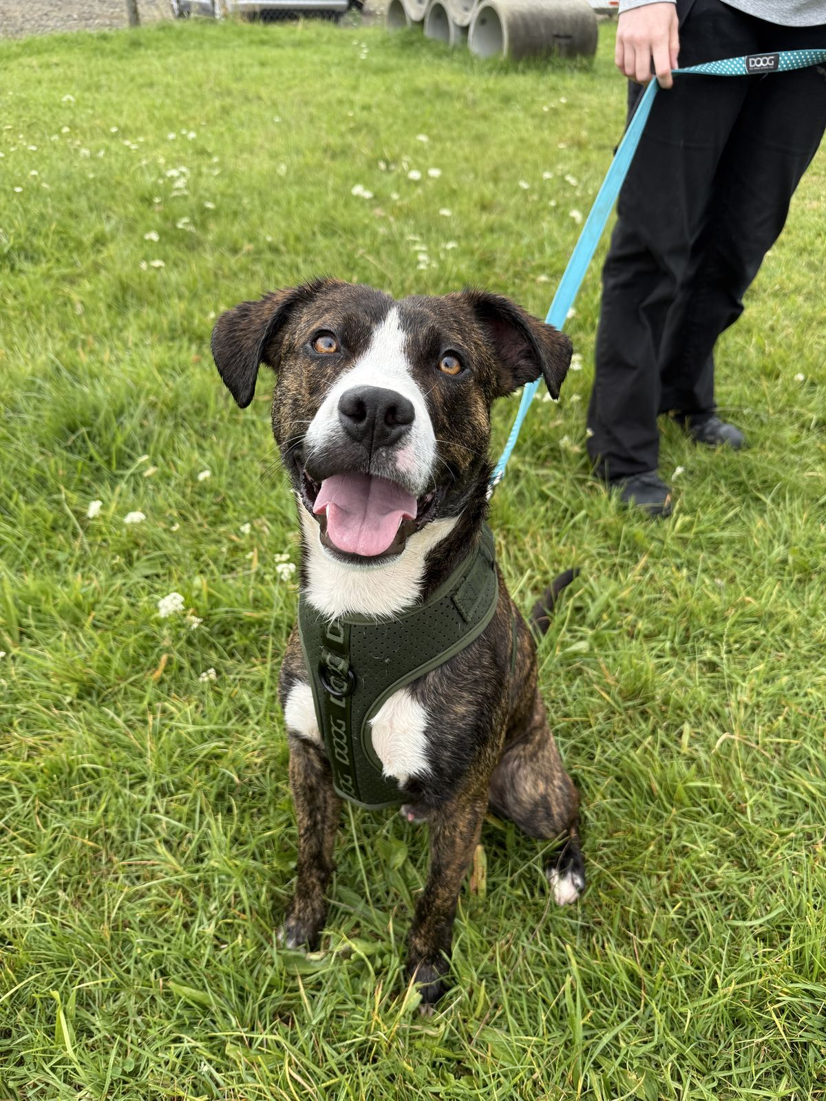 Gallery image: Kuzco