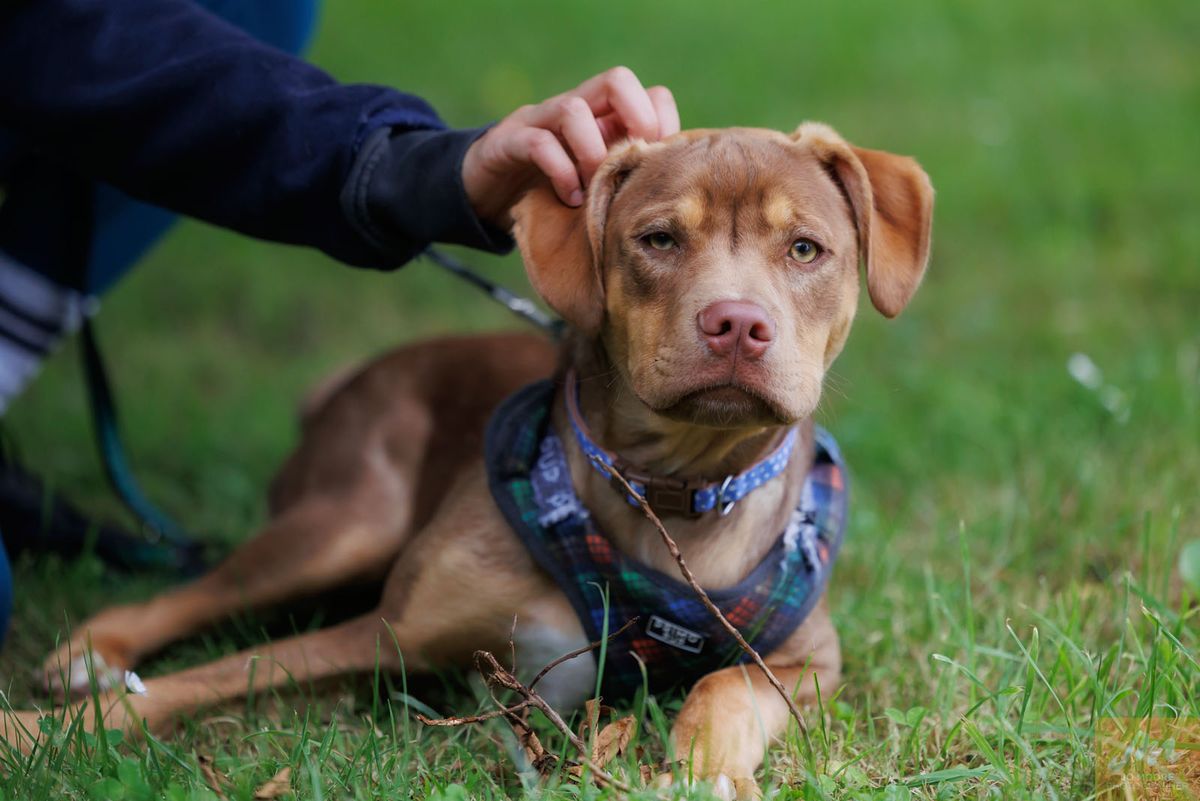 Gallery image: Frodo