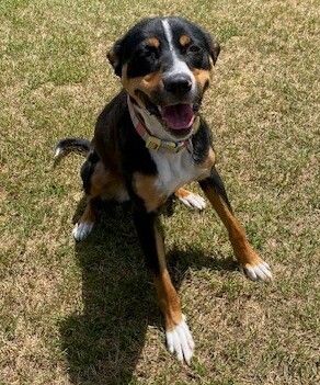 Gallery image: Chloe