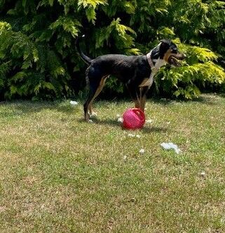 Gallery image: Chloe