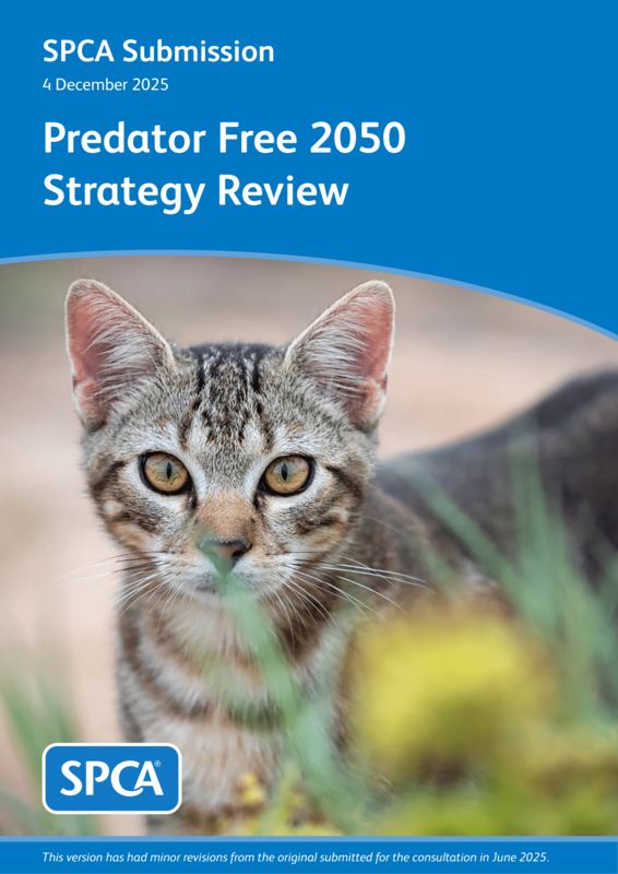 Predator Free 2050 strategy review public consultation - Department of Conservation