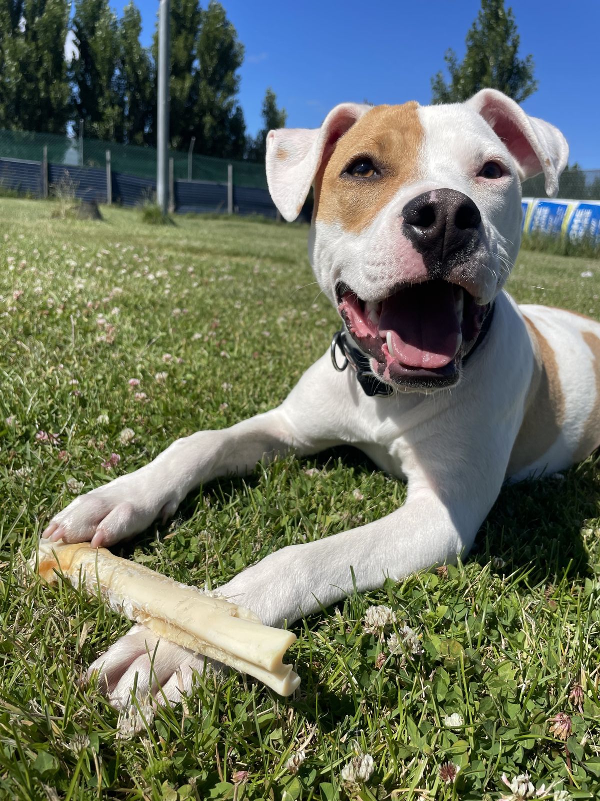 Gallery image: Rupert