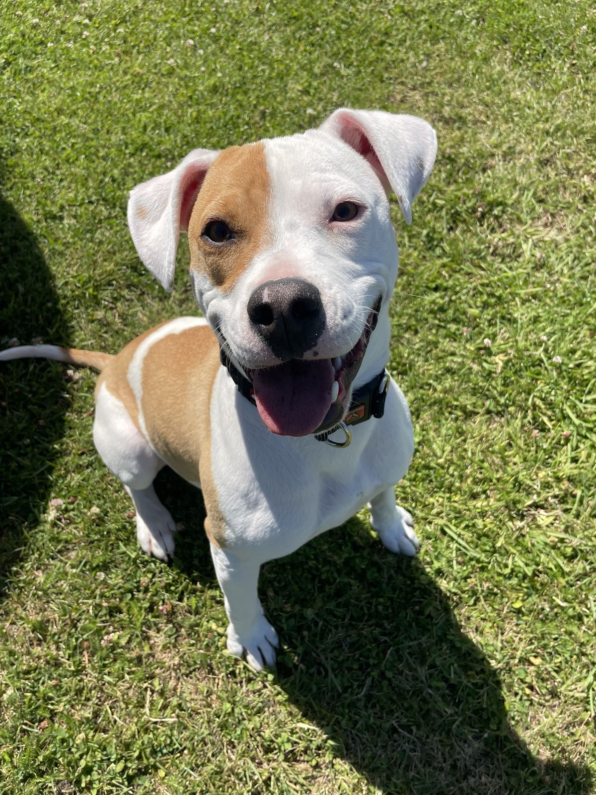 Gallery image: Rupert