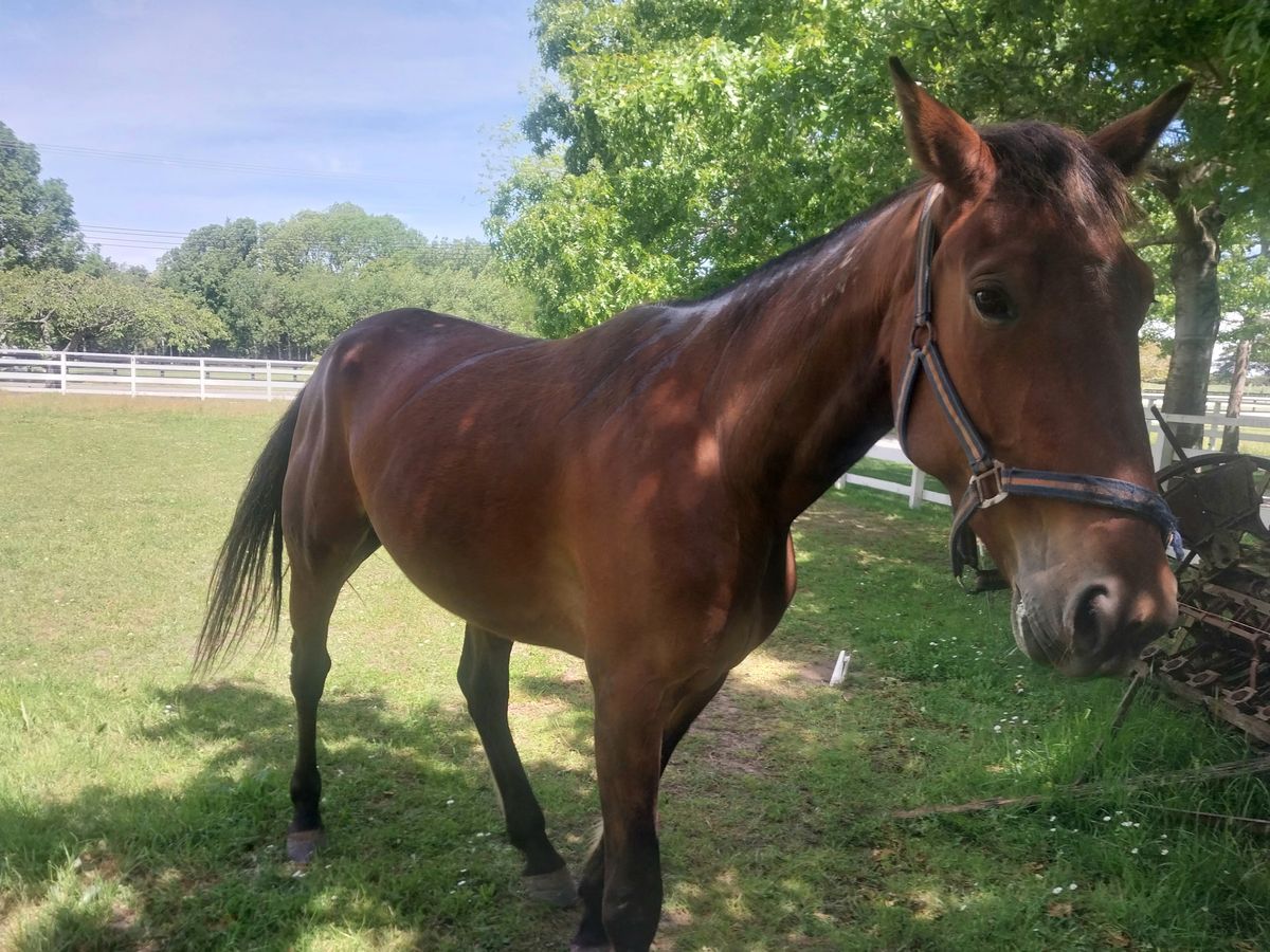 Gallery image: Cheese