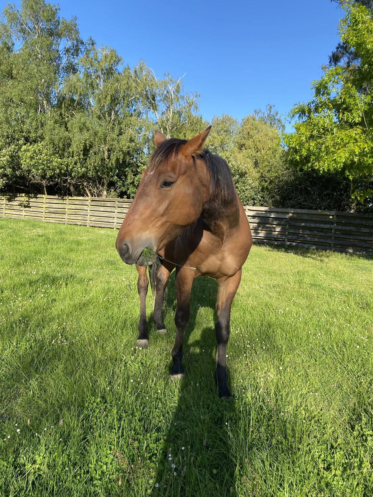 Gallery image: Cheese