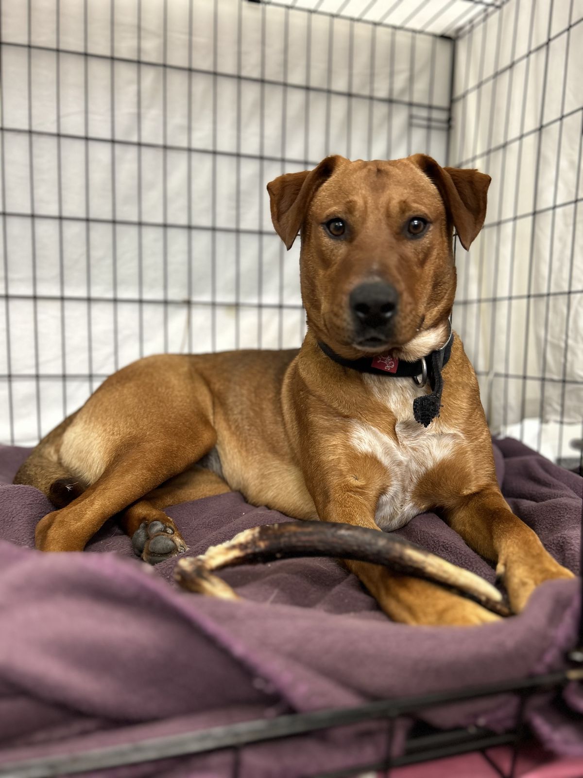 Gallery image: Sae-Dee