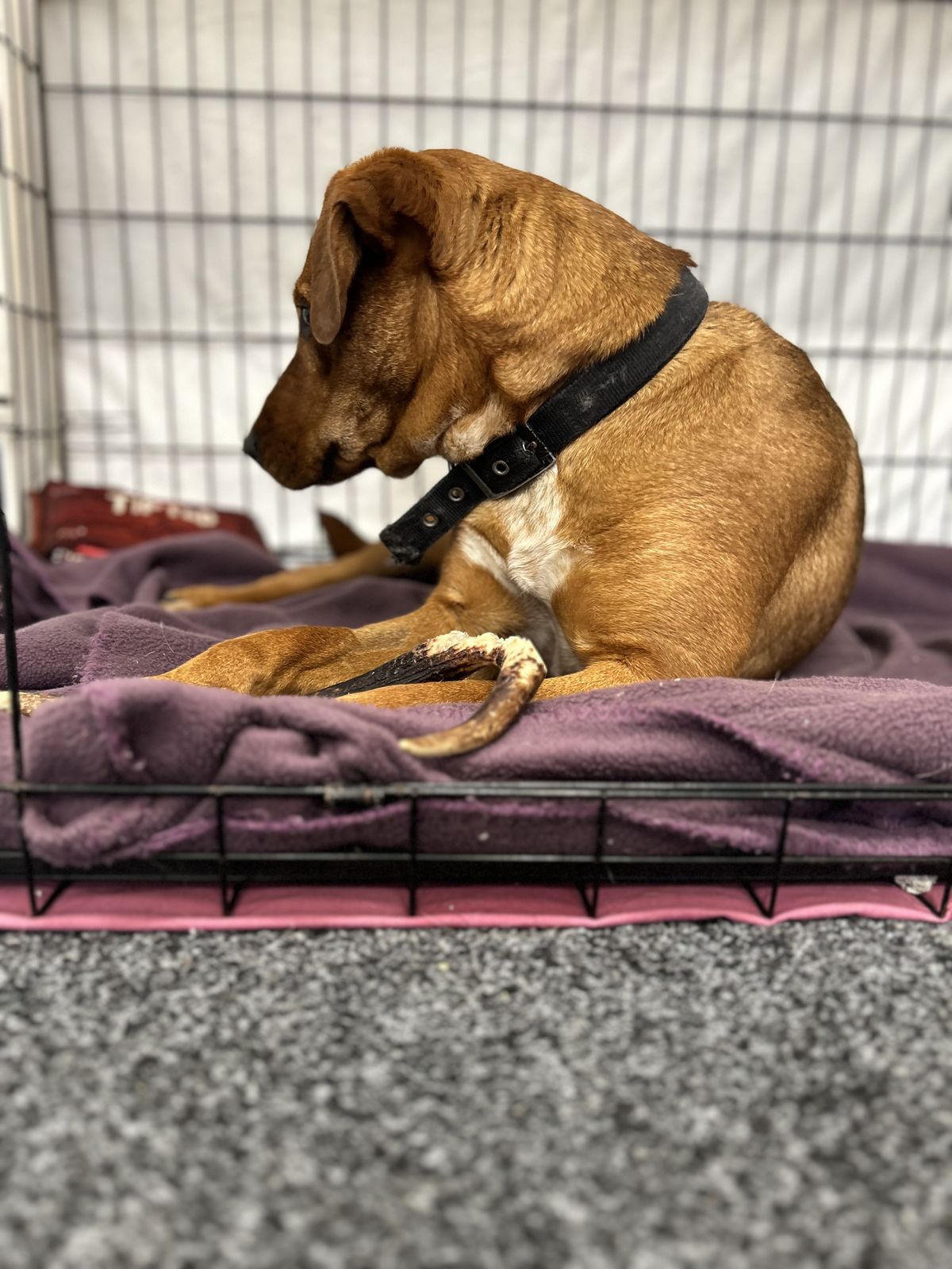 Gallery image: Sae-Dee