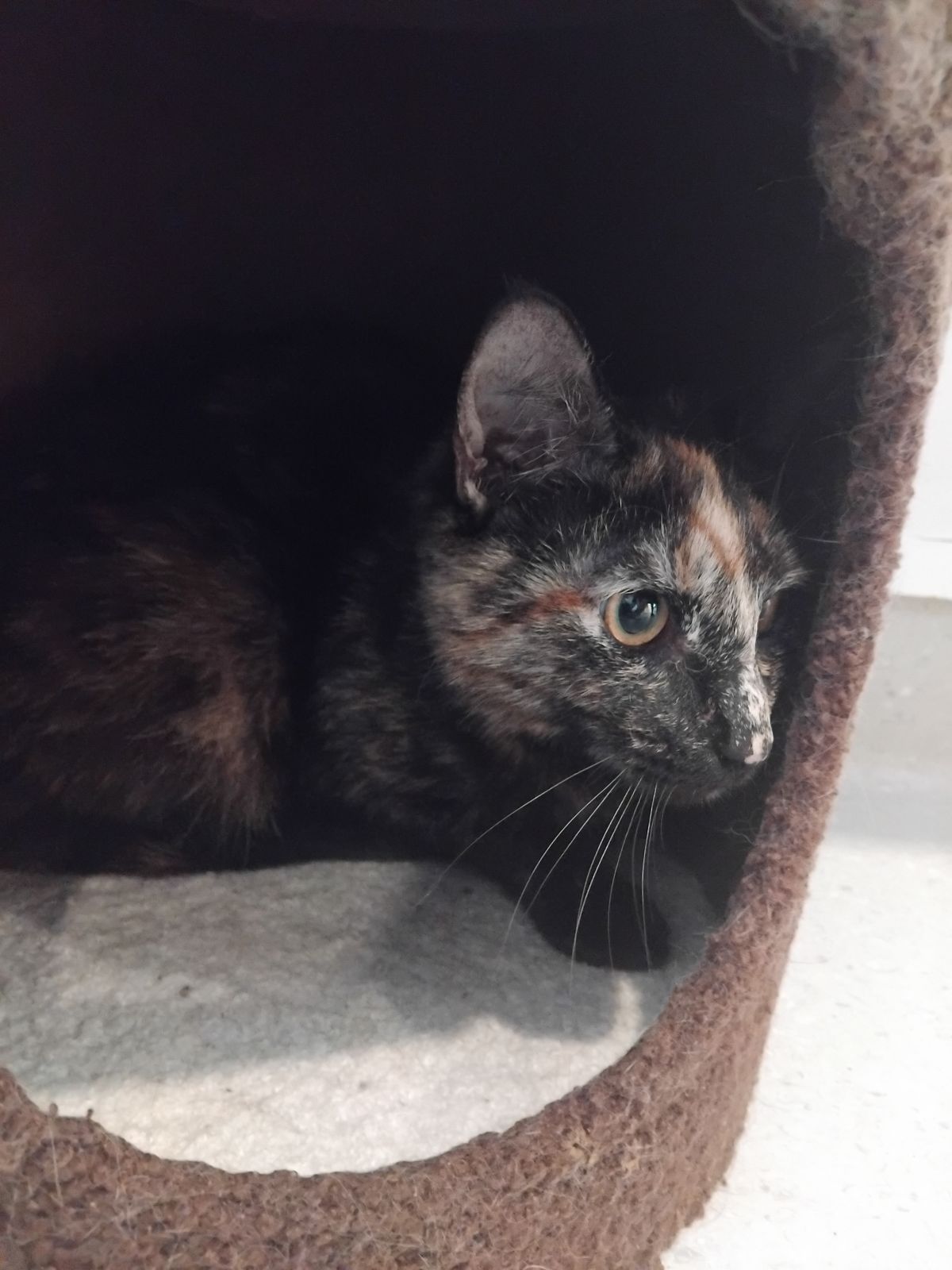 Gallery image: Abigail