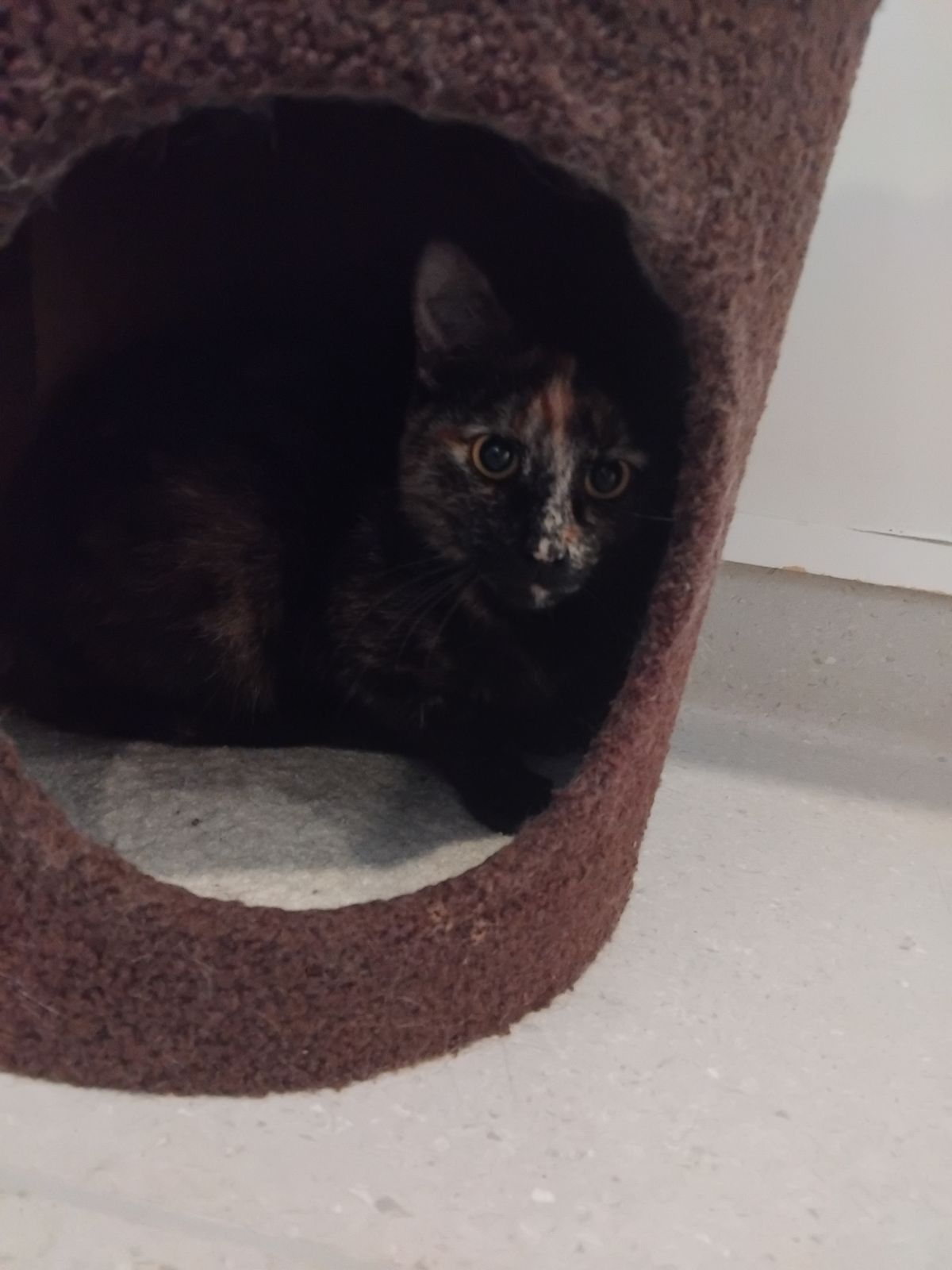 Gallery image: Abigail