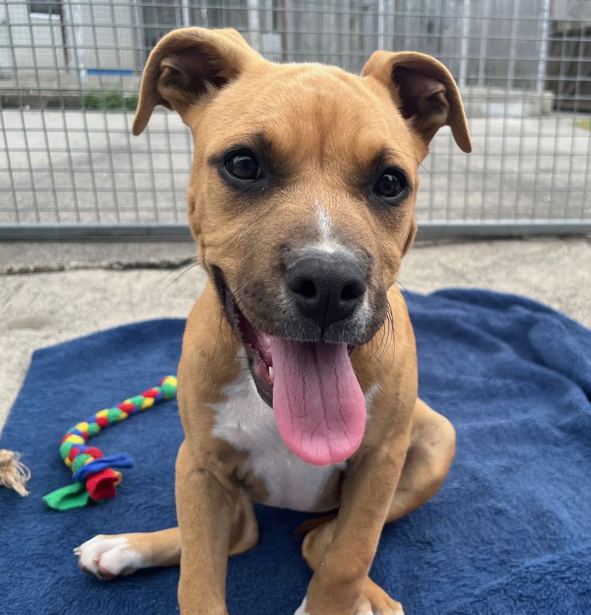 Gallery image: Jelly