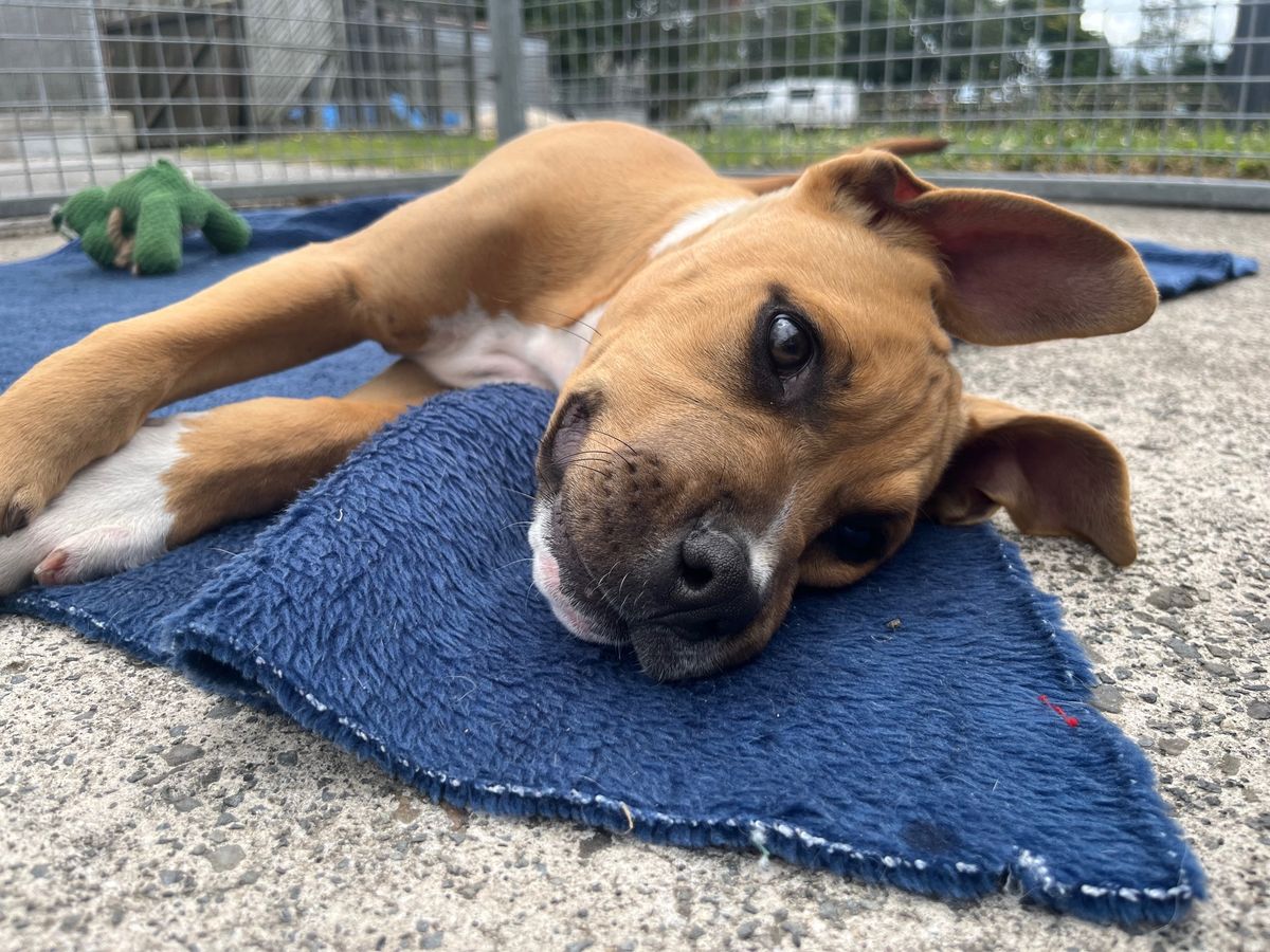 Gallery image: Jelly