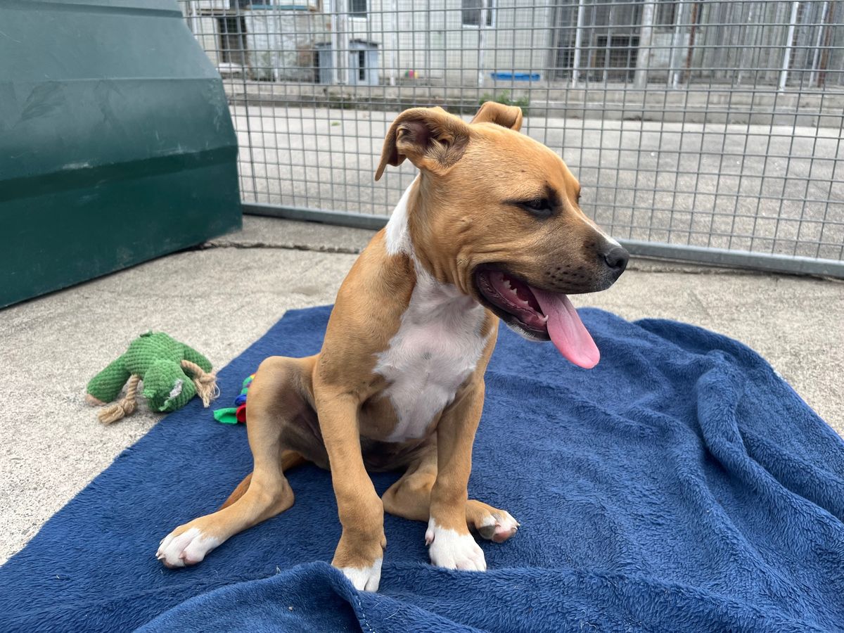 Gallery image: Jelly