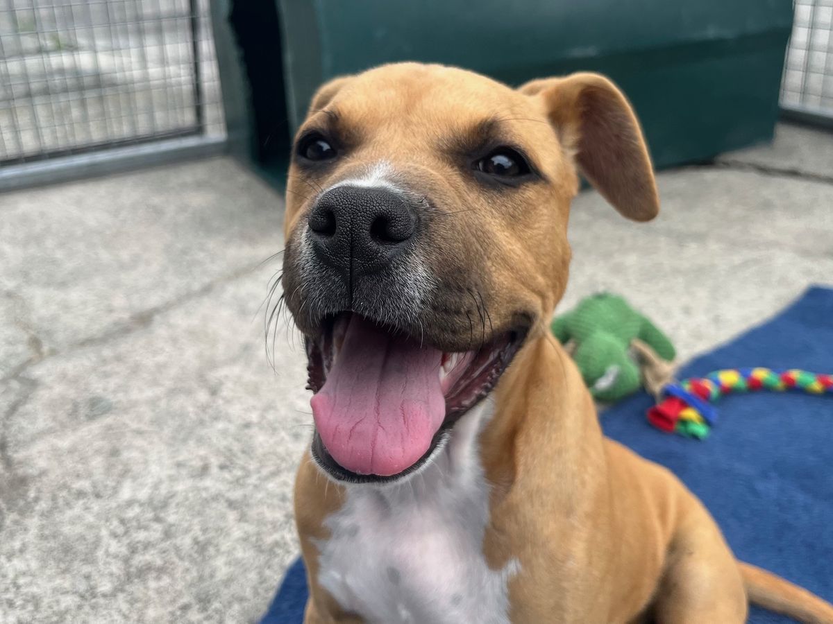 Gallery image: Jelly