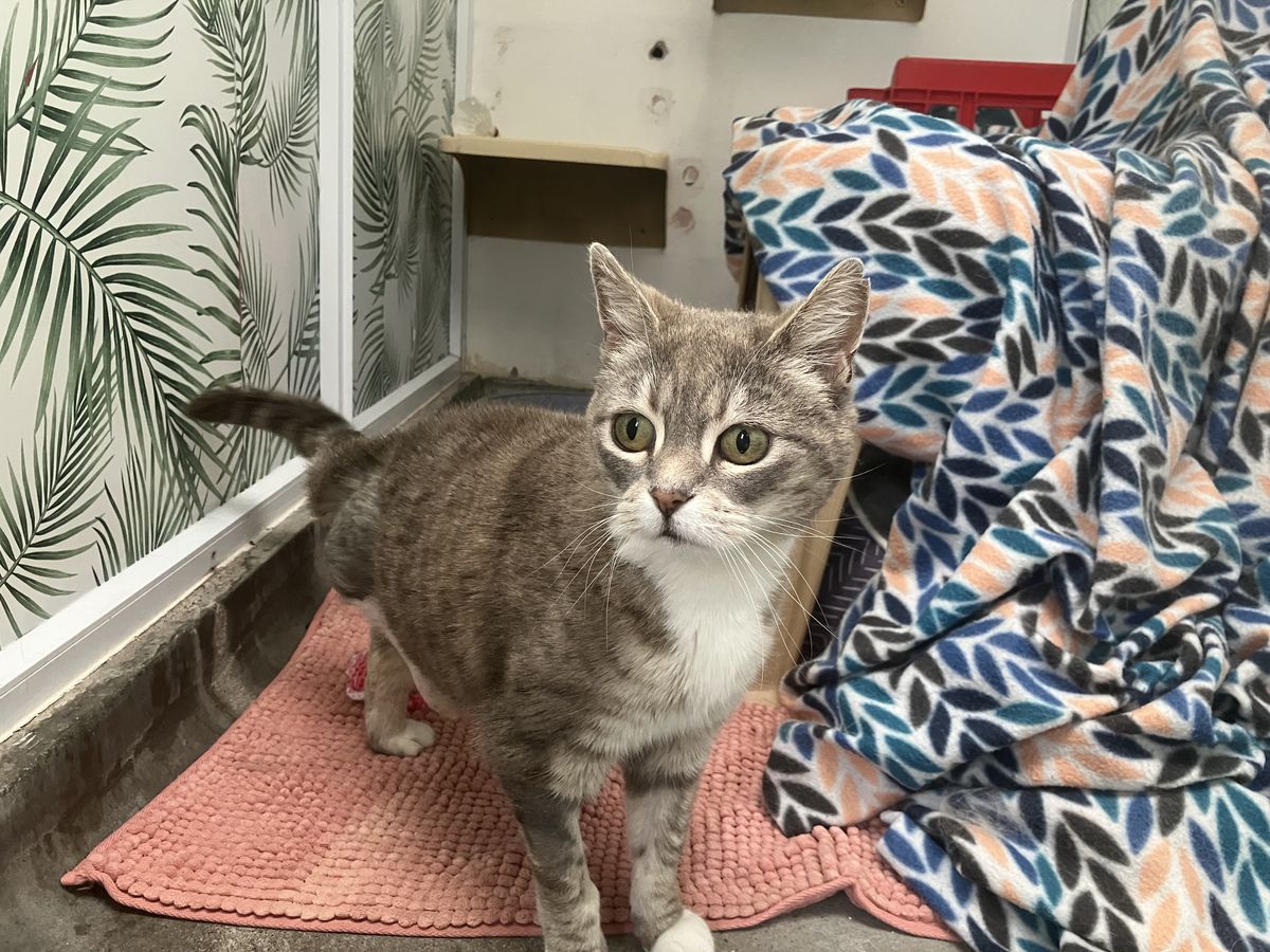 Gallery image: Prudence 