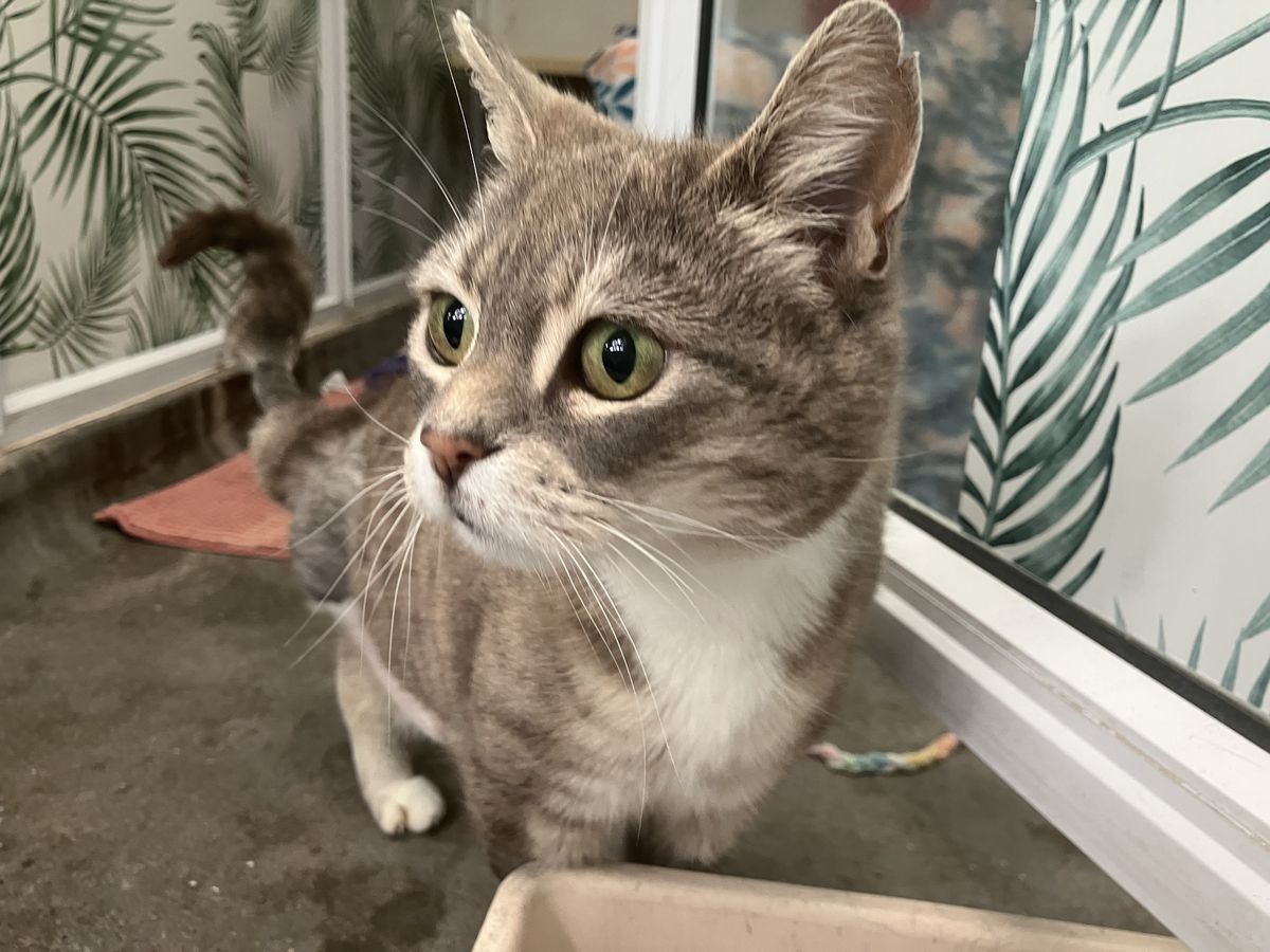 Gallery image: Prudence 