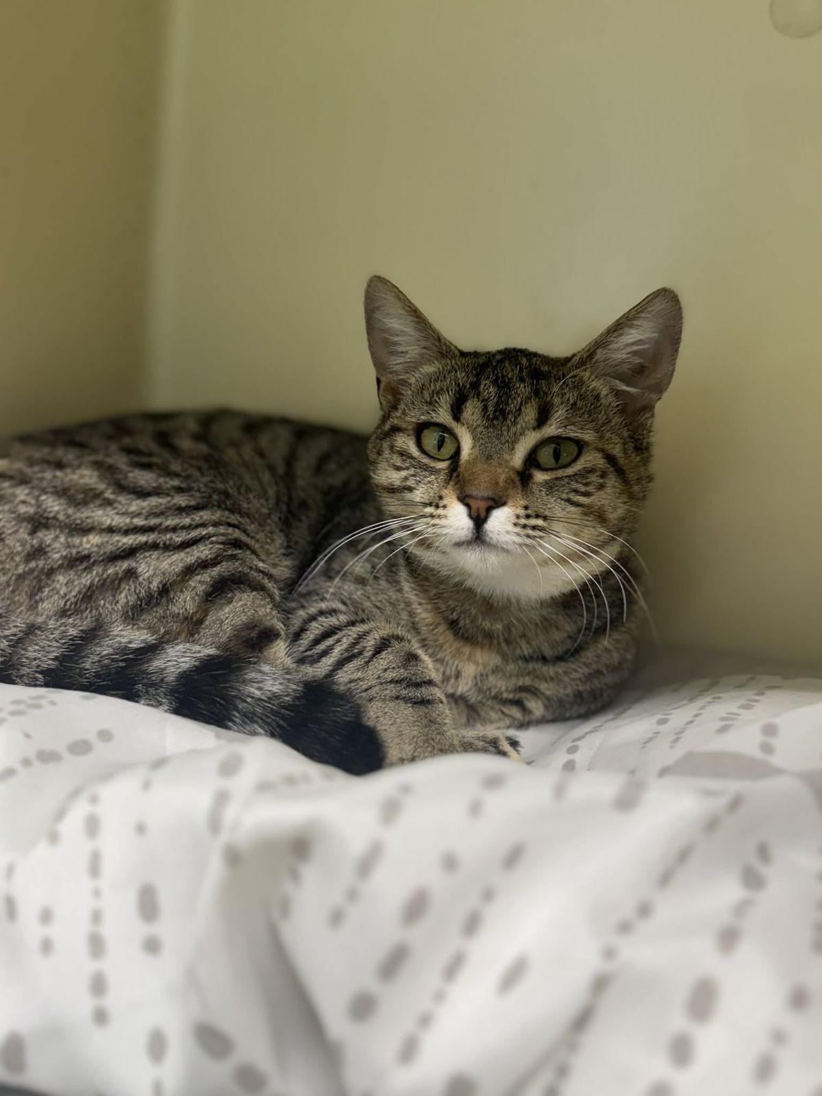 Gallery image: Little Girl