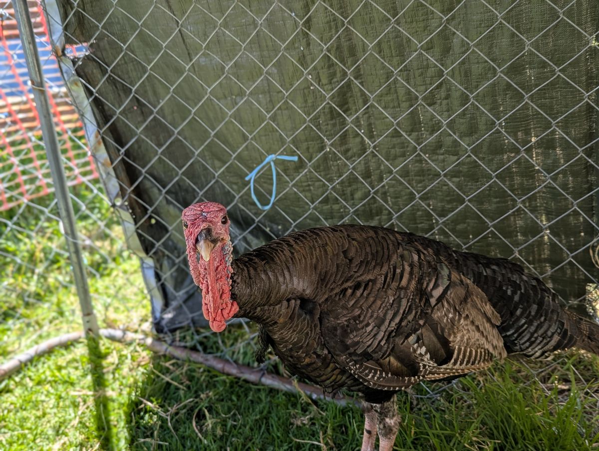 Gallery image: Celine