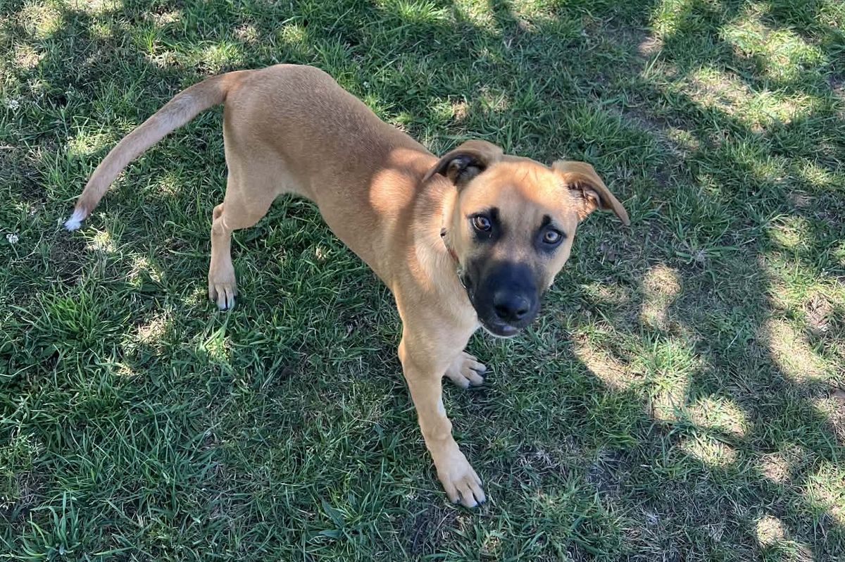 Gallery image: Wilma