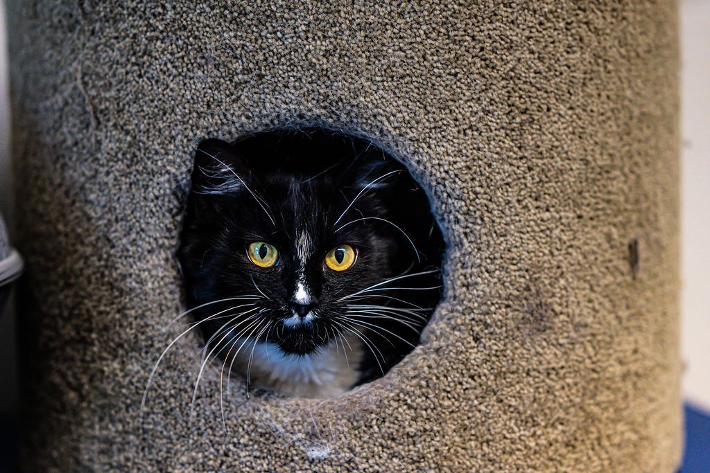 Gallery image: Blake