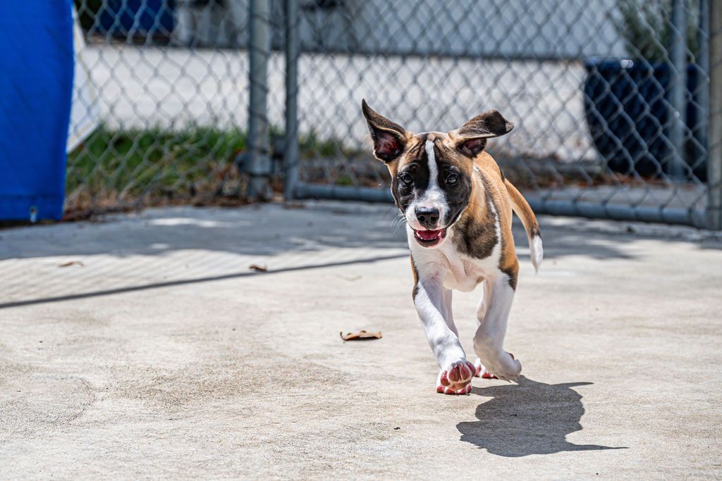 Gallery image: Tessa