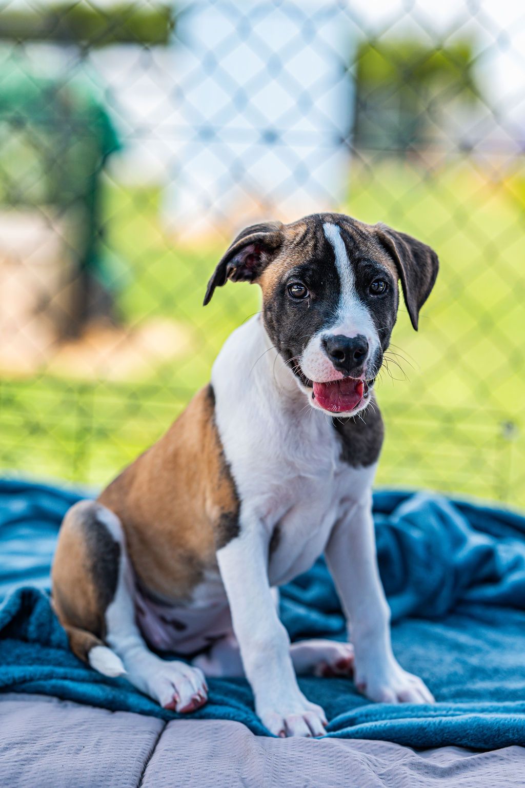 Gallery image: Tessa