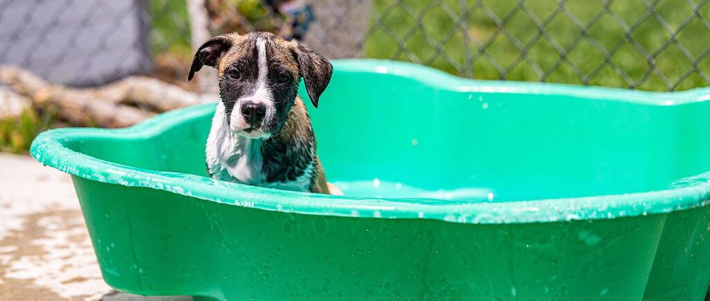 Gallery image: Tessa