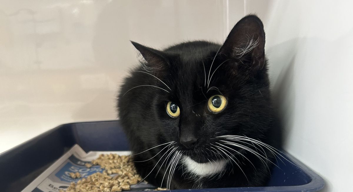 Gallery image: Missy