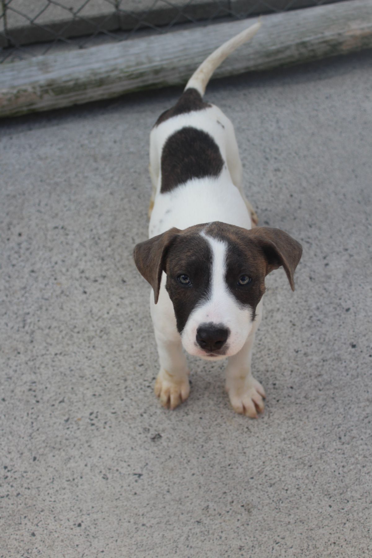 Gallery image: Aphrodite