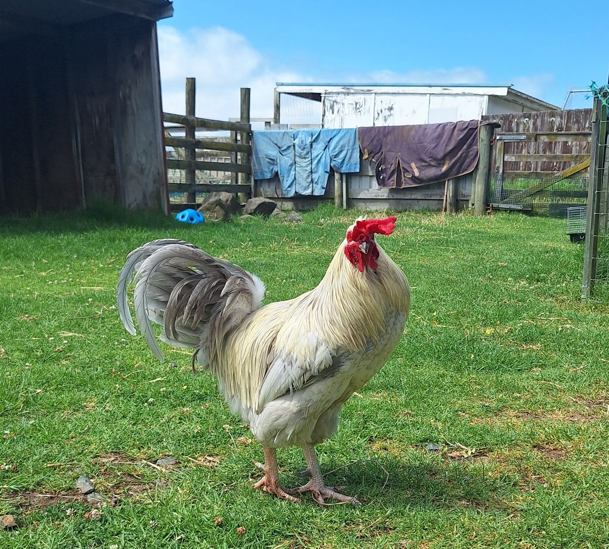 Gallery image: Justin Beaker