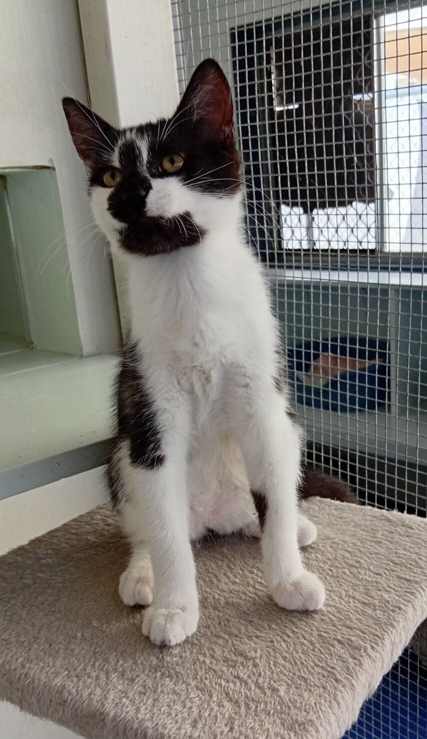 Gallery image: Checkers