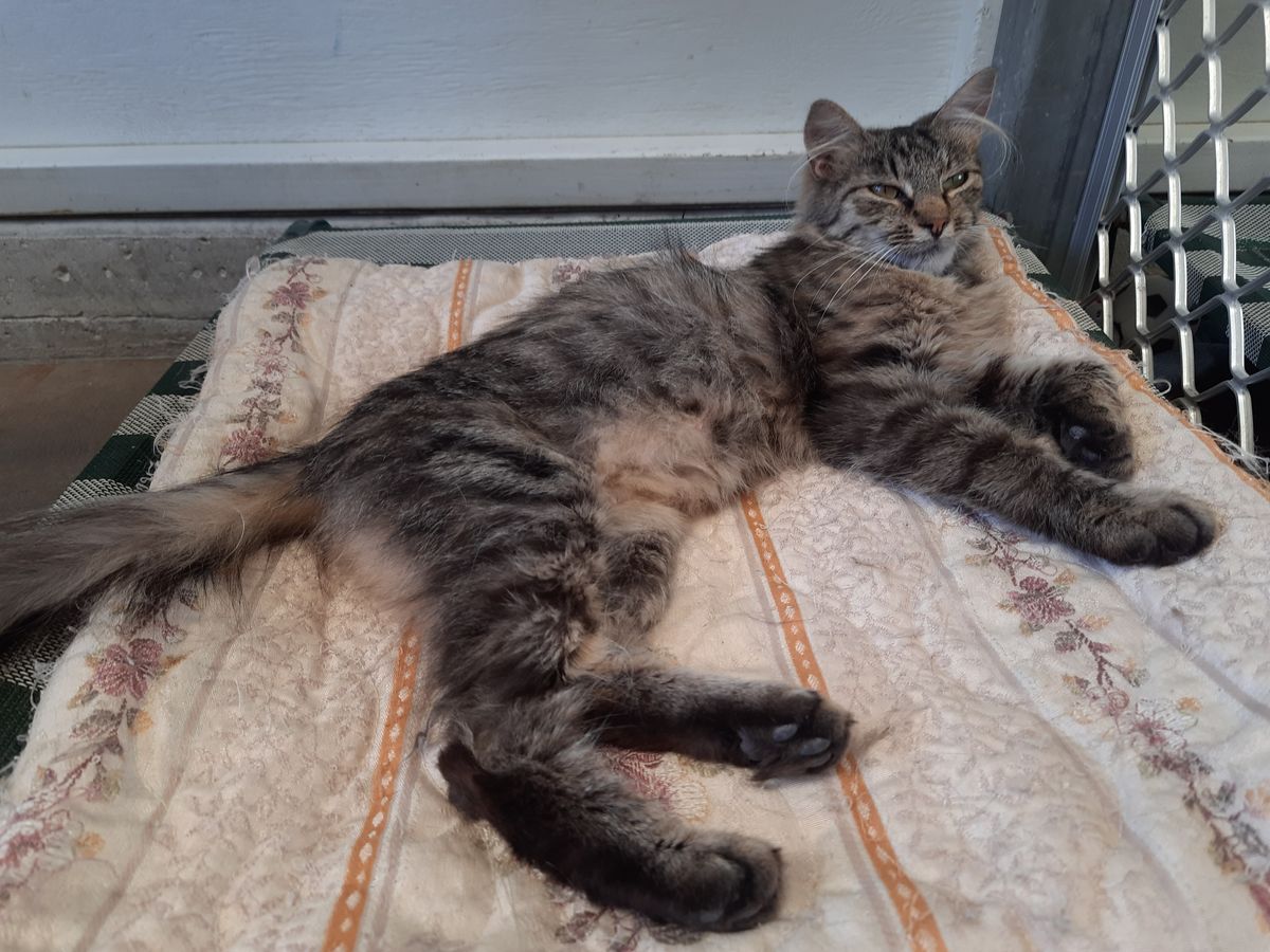 Gallery image: Madaline