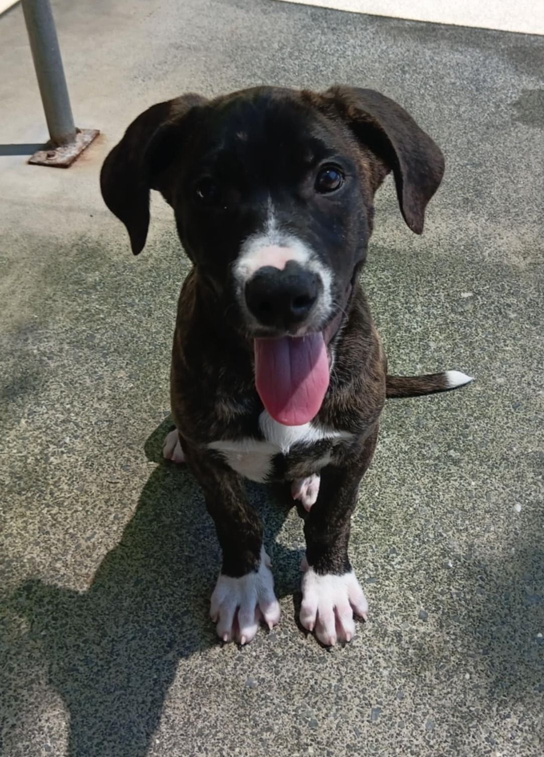 Gallery image: Scrooge