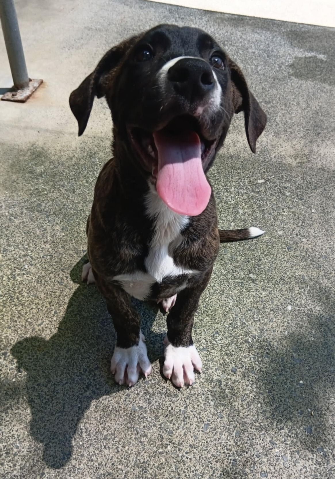 Gallery image: Scrooge