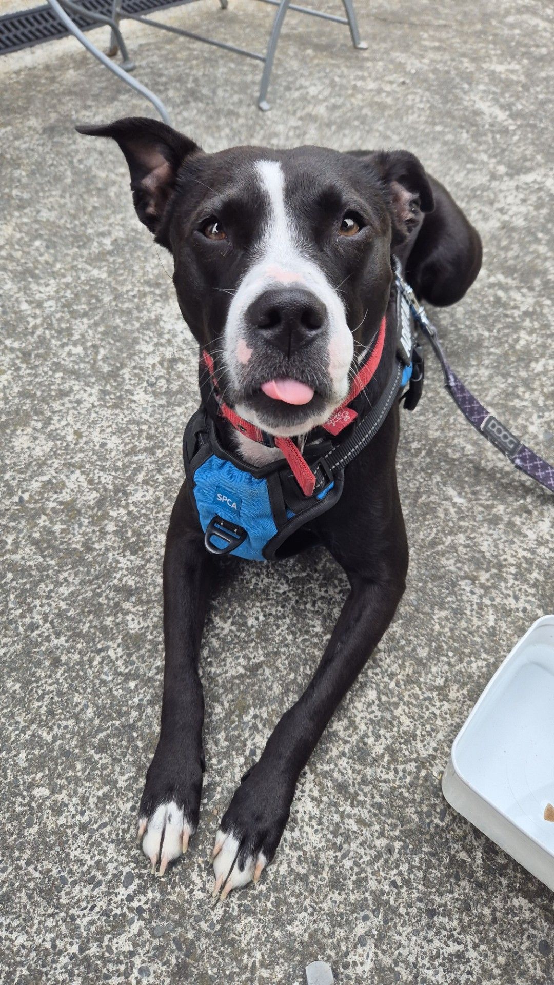 Gallery image: Lottie