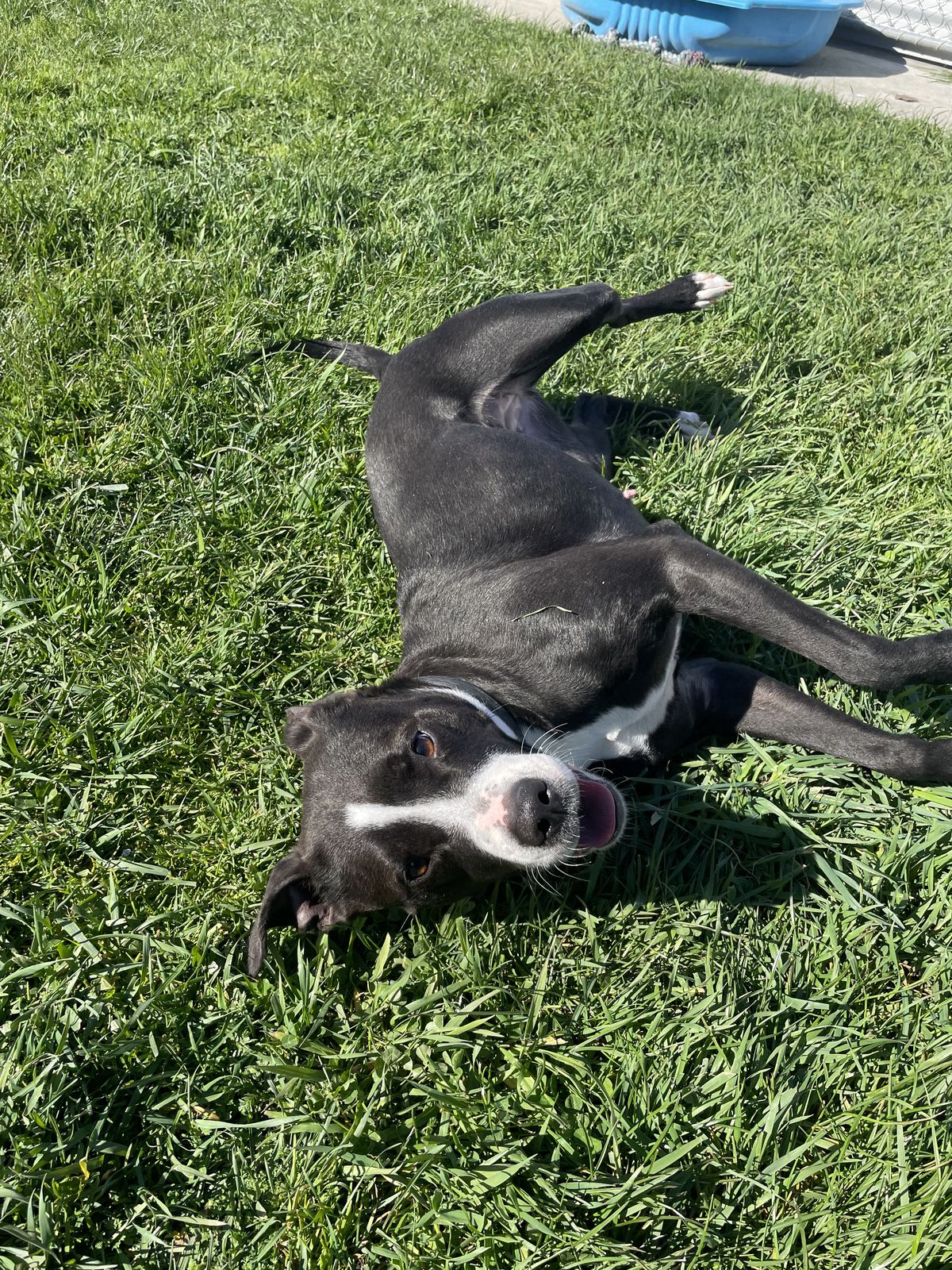 Gallery image: Lottie